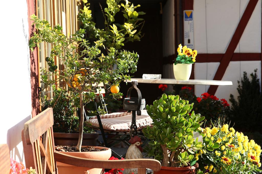 Gaestehaus Pfefferle Hotel Garni Und Ferienwohnungen Зігмарінген Екстер'єр фото